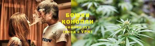 мяу мяу мука Вязьма