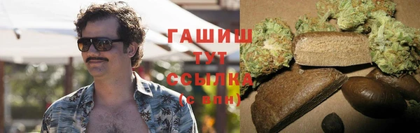PSILOCYBIN Вяземский