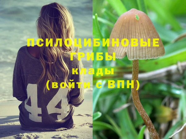 PSILOCYBIN Вяземский