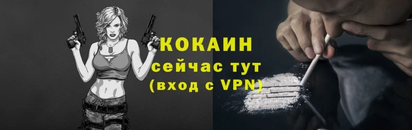 PSILOCYBIN Вяземский