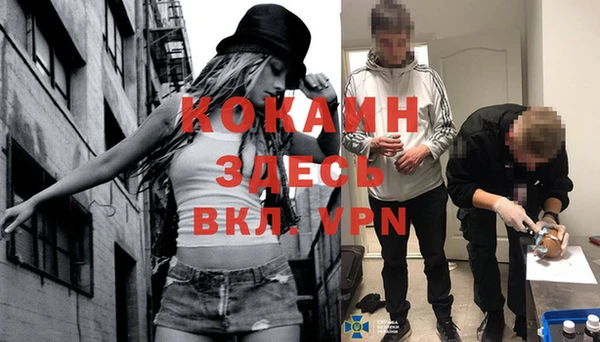 мяу мяу мука Вязьма