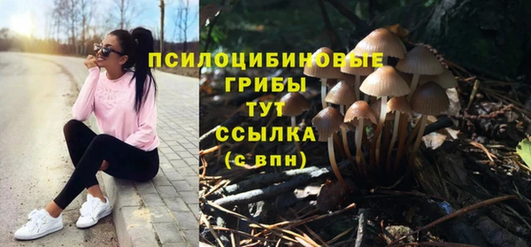 мяу мяу мука Вязьма