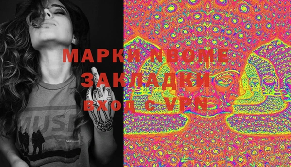 PSILOCYBIN Вяземский