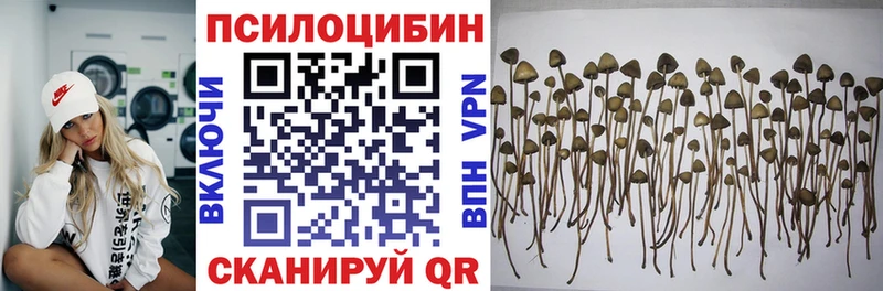 Купить где  Красный Кут  Галлюциногенные грибы мицелий 